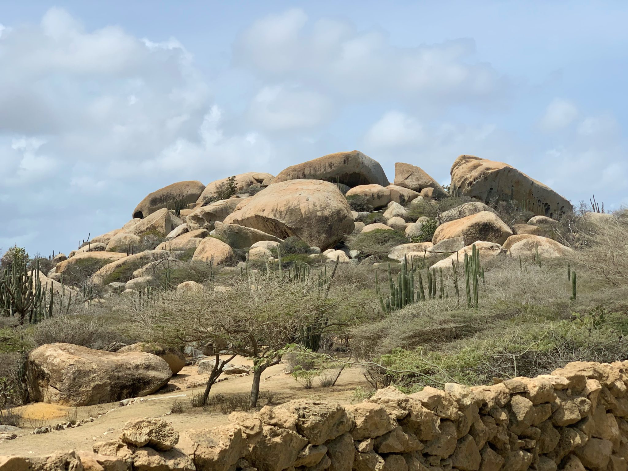 ABC Tours Aruba Island Ultimate Safari Review