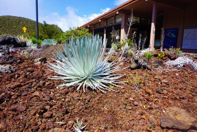 haleakala crater