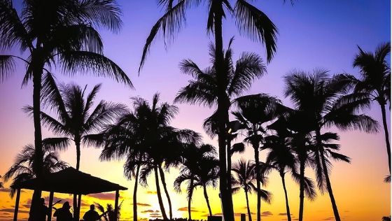 Best Luaus in Hawaii in 2020