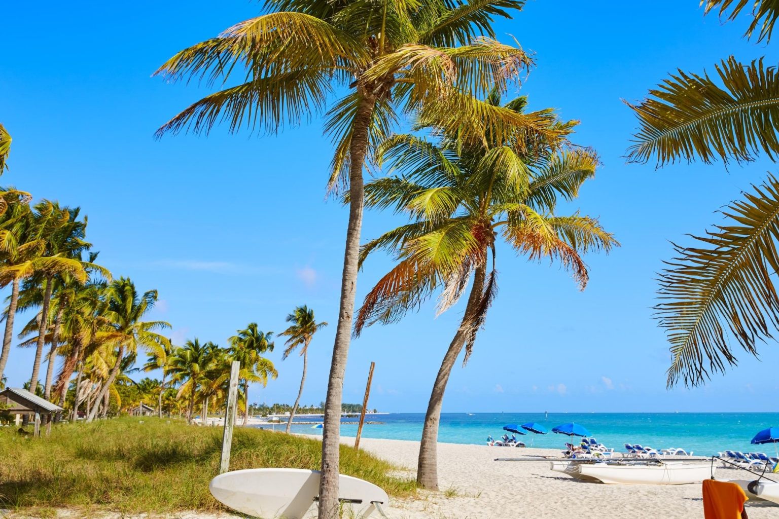 Top Things to Do in Key West, Florida on a Cruise