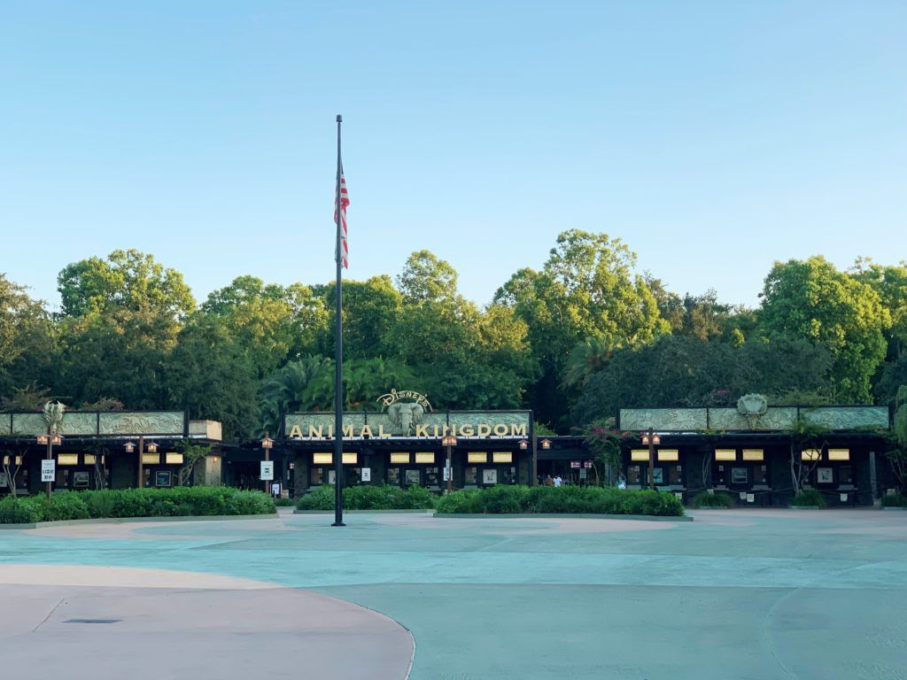 Entrance to Animal Kingdom 