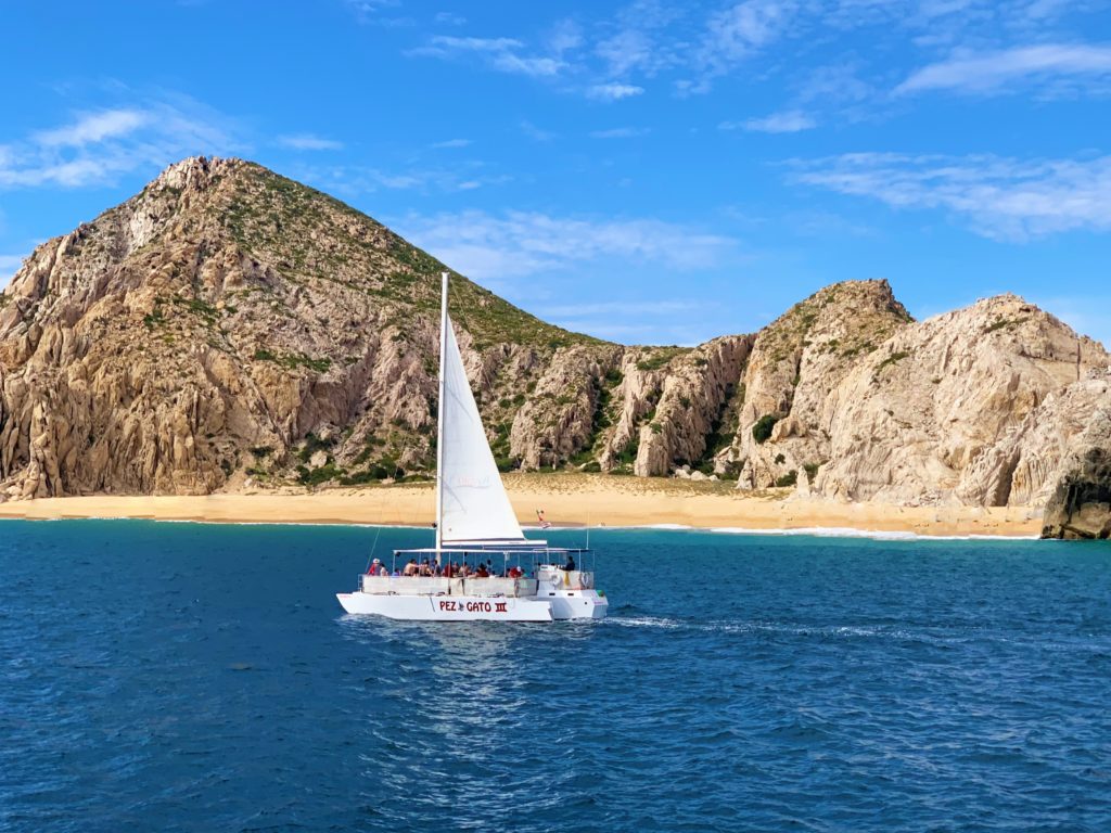 Beginner's Guide to Planning a Cruise