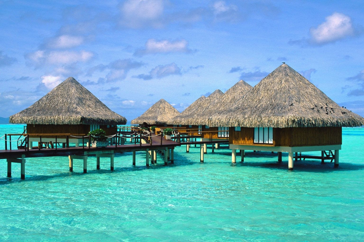 Best Tropical Cruise Vacations - EatSleepCruise.com
