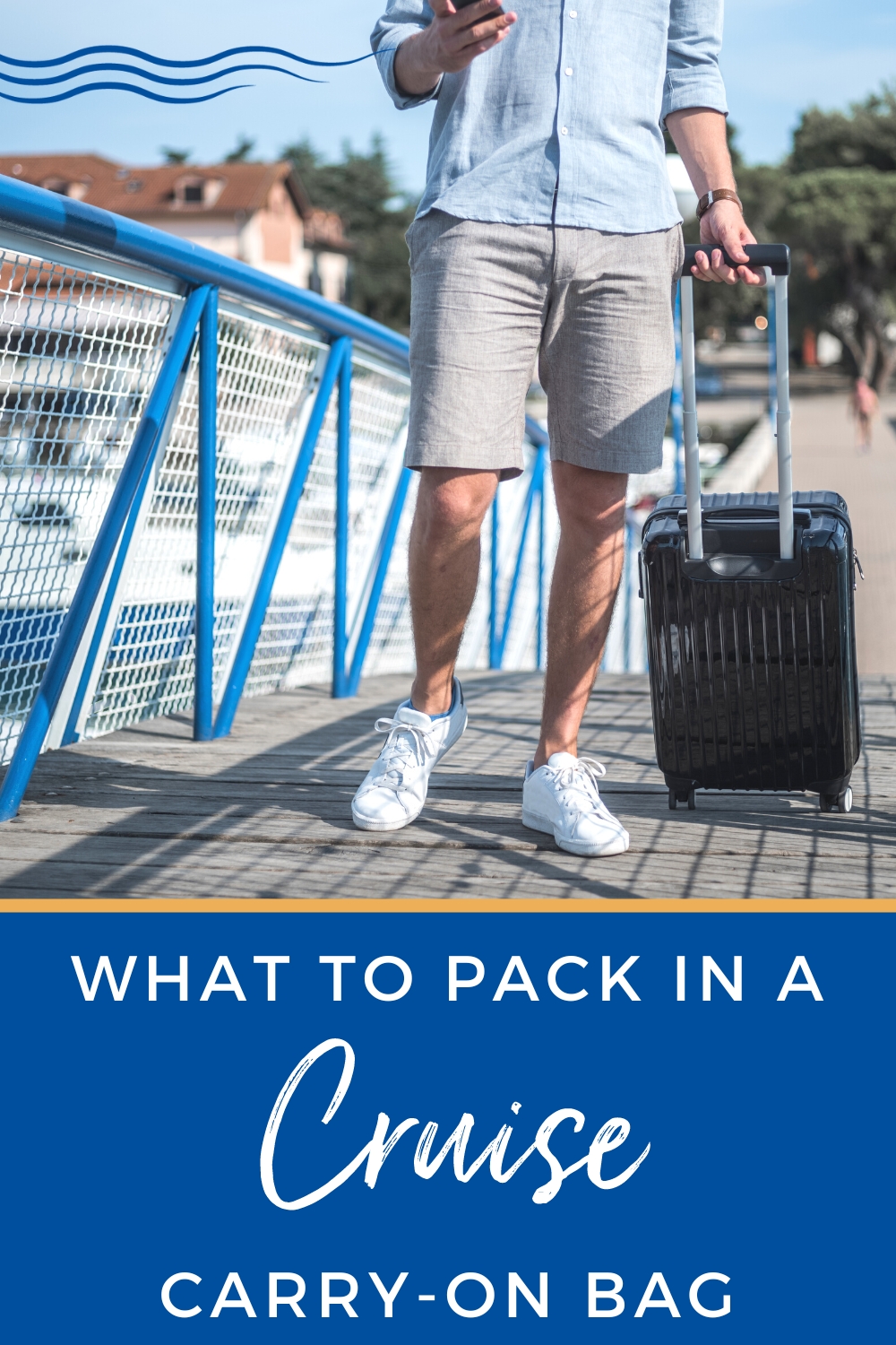 cruise carry on bag