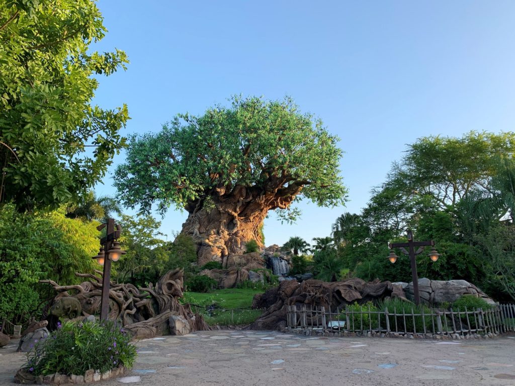 Visiting Walt Disney World in 2021