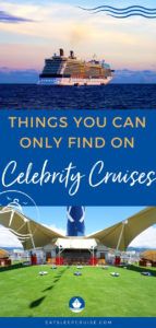 Top Things You Can Only Find on Celebrity Cruises