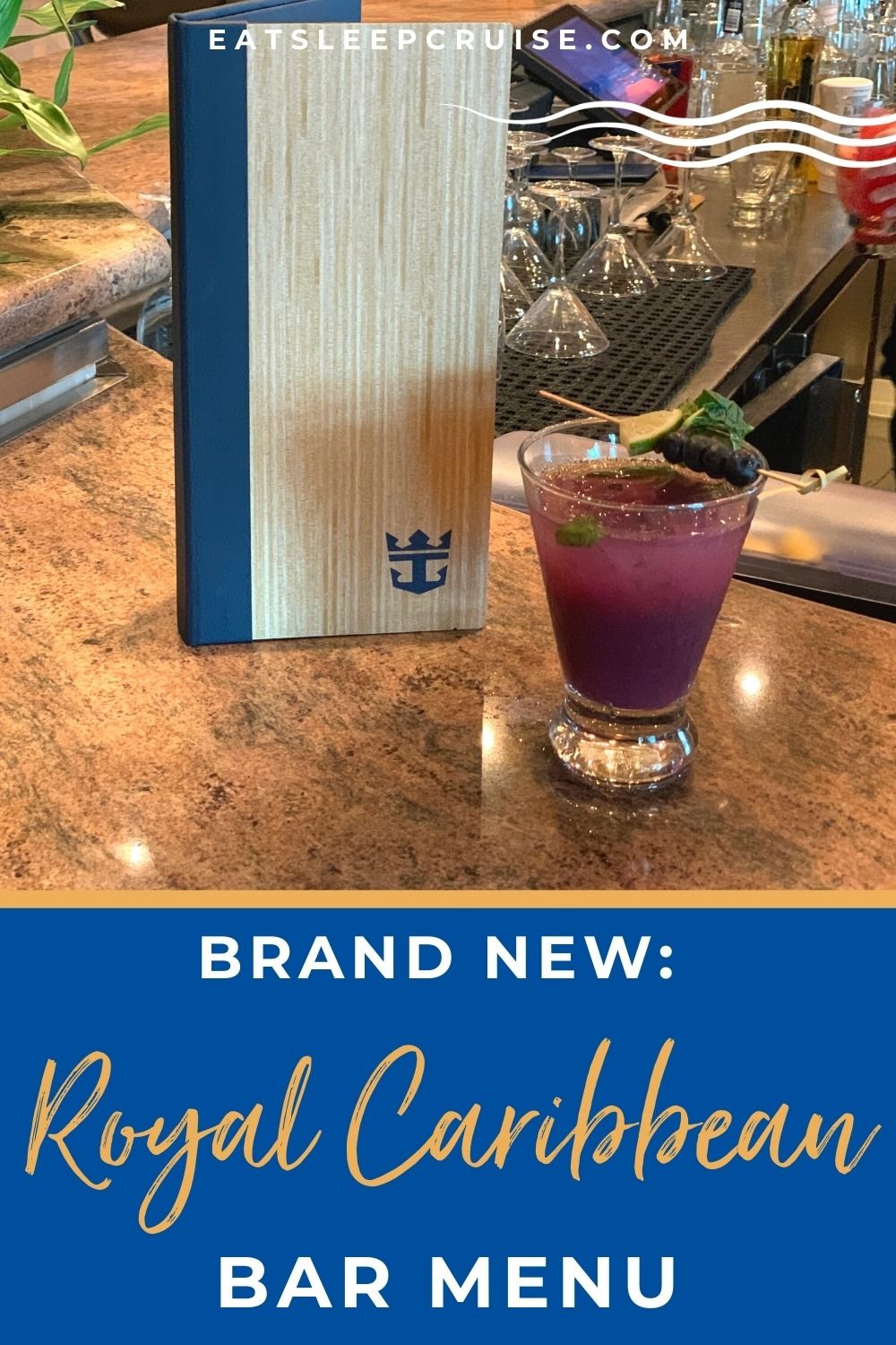 Brand New Royal Caribbean Bar Menu
