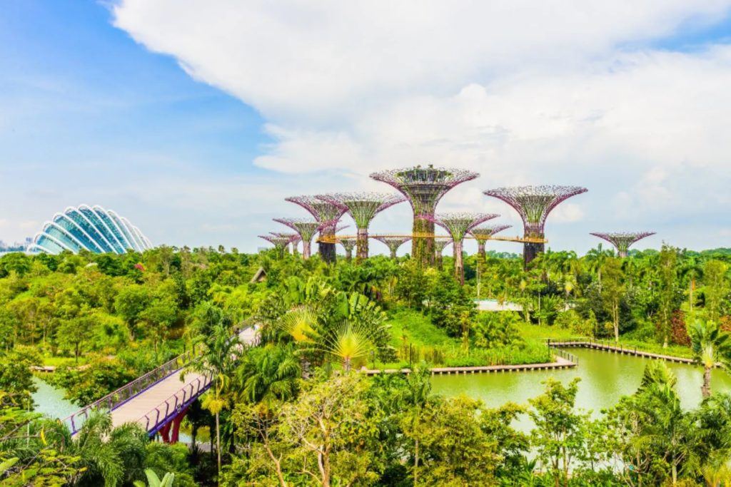 Princess Cruises Asia cruises on Diamond Princess