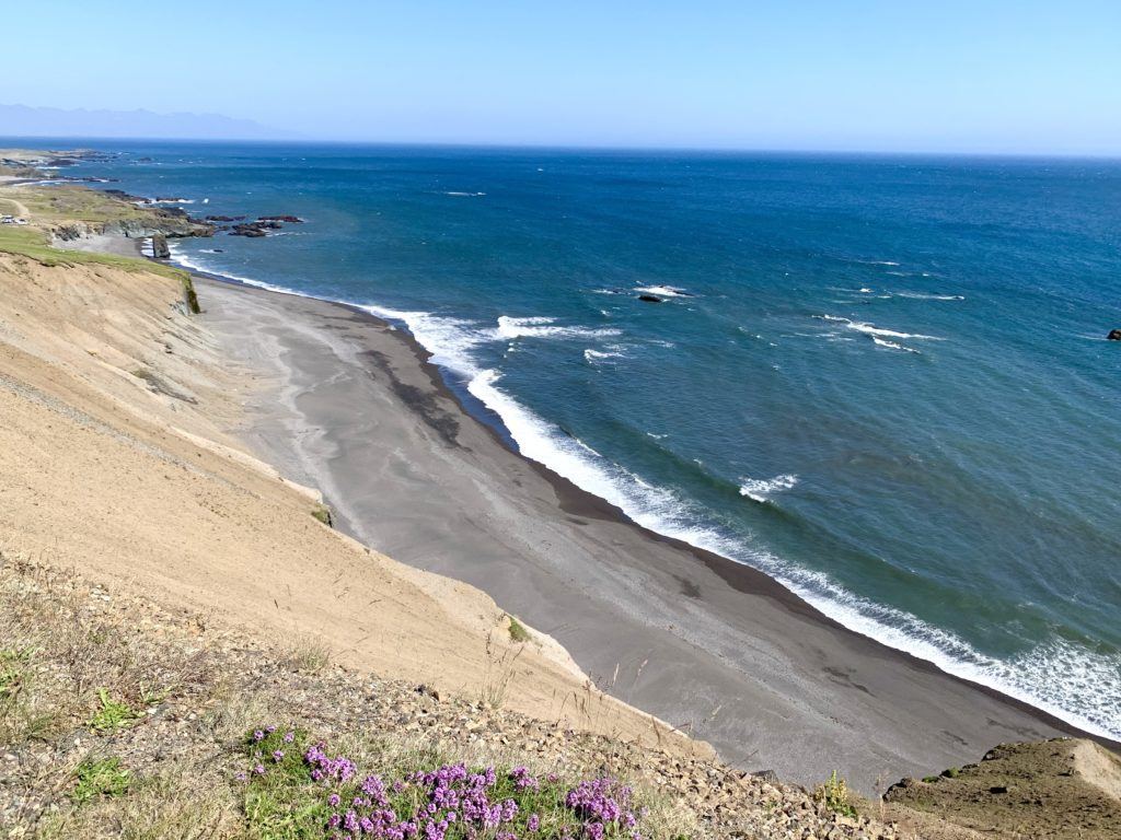Viking Iceland's Natural Beauty Cruise Review