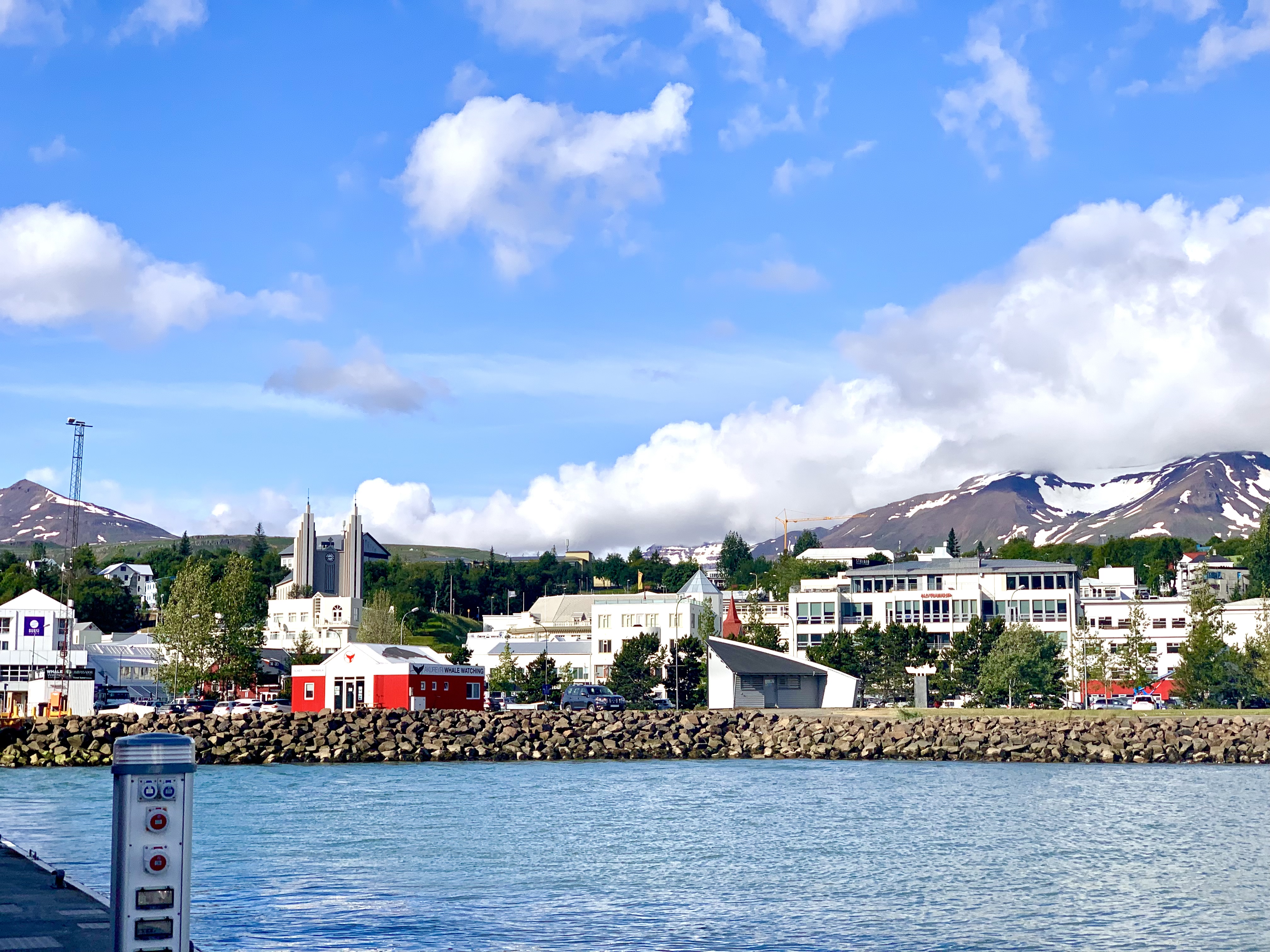 Viking Iceland's Natural Beauty Cruise Review