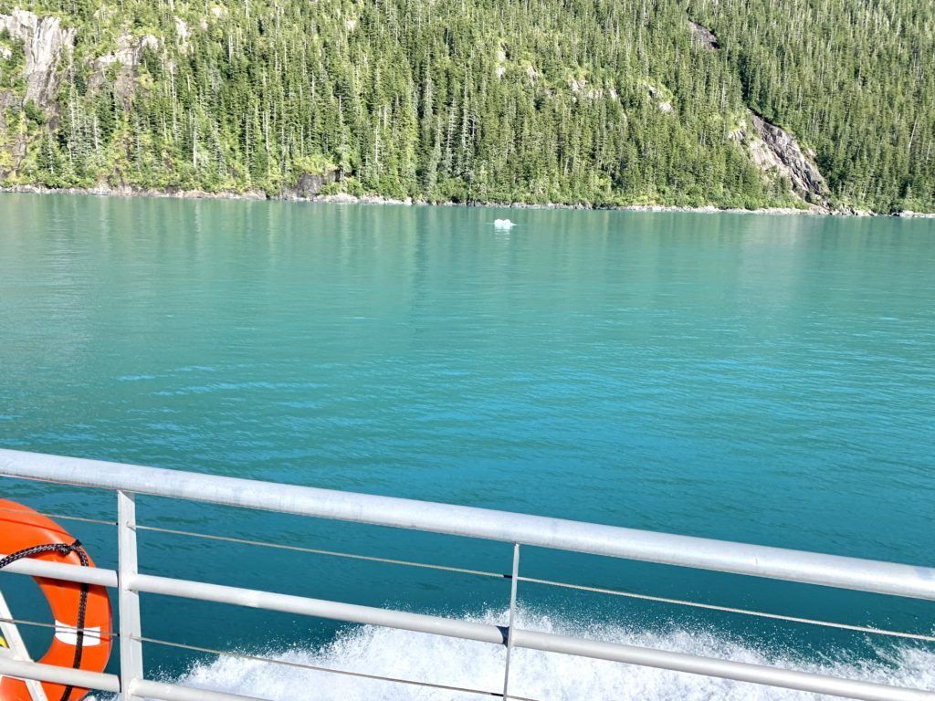 Tracy Arm Fjord and Glacier Explorer Excursion Review