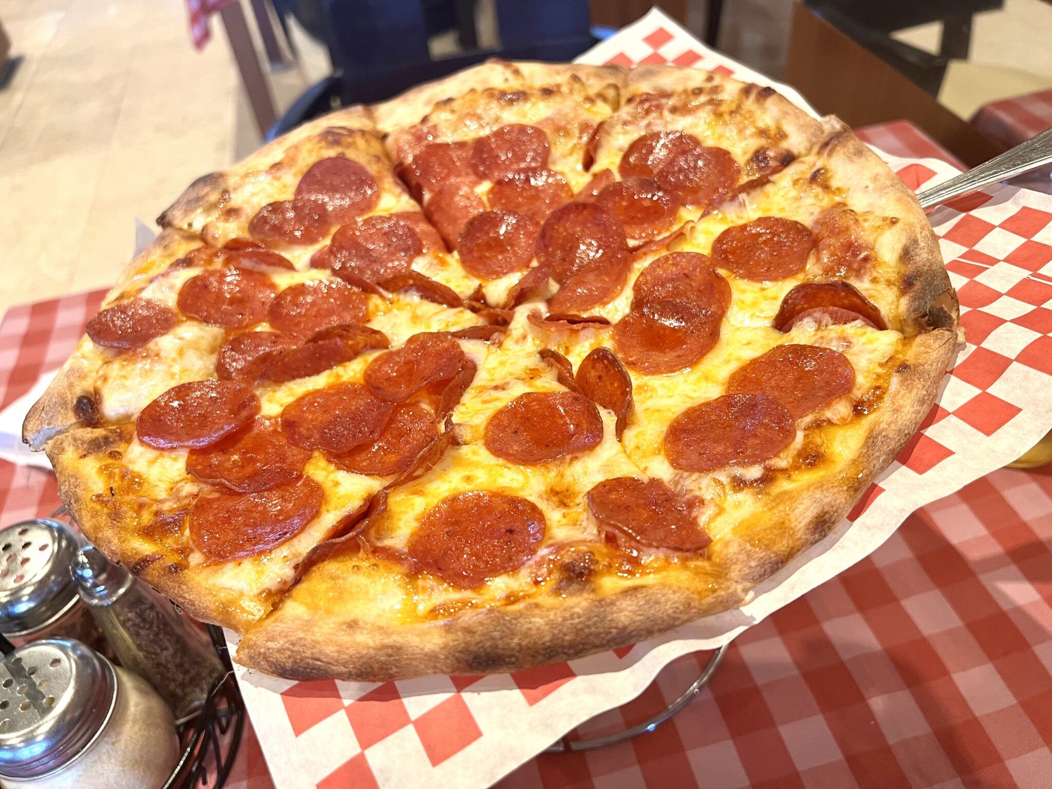 Margaritaville at Sea Paradise Review