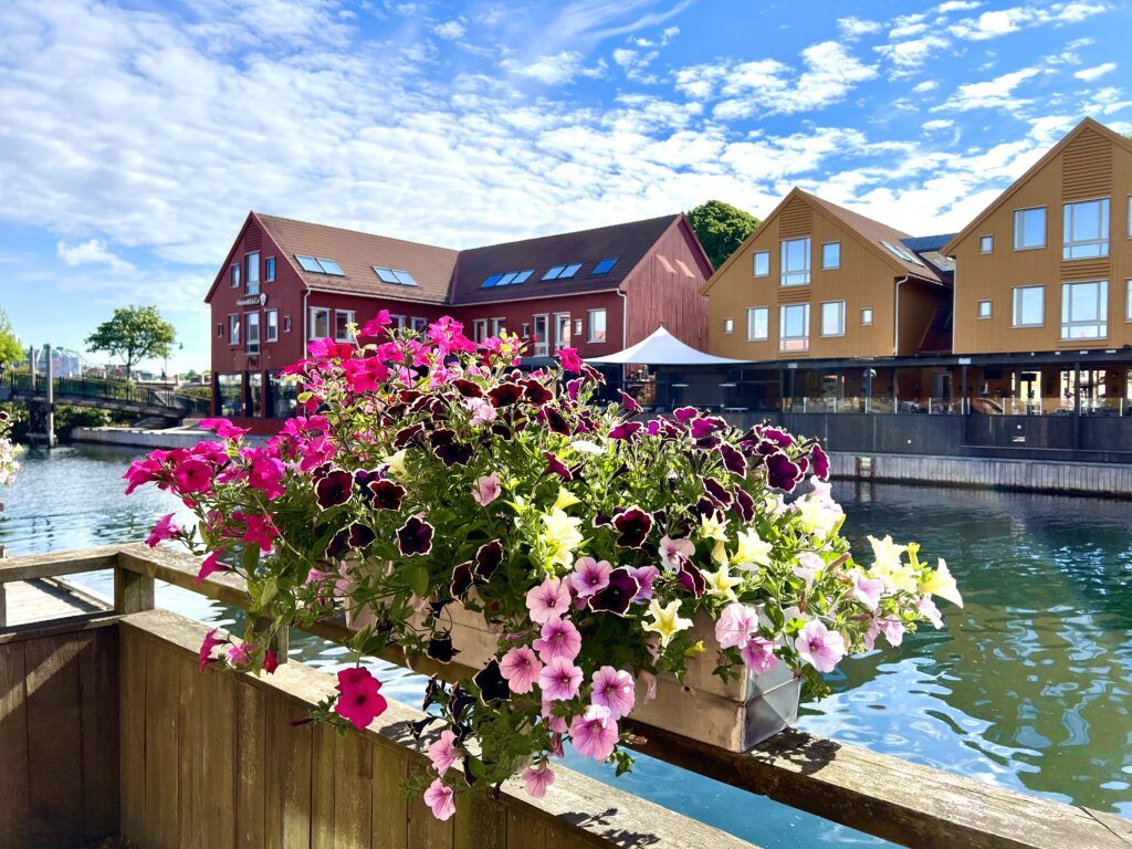 Rotterdam Naming Ceremony Cruise Review