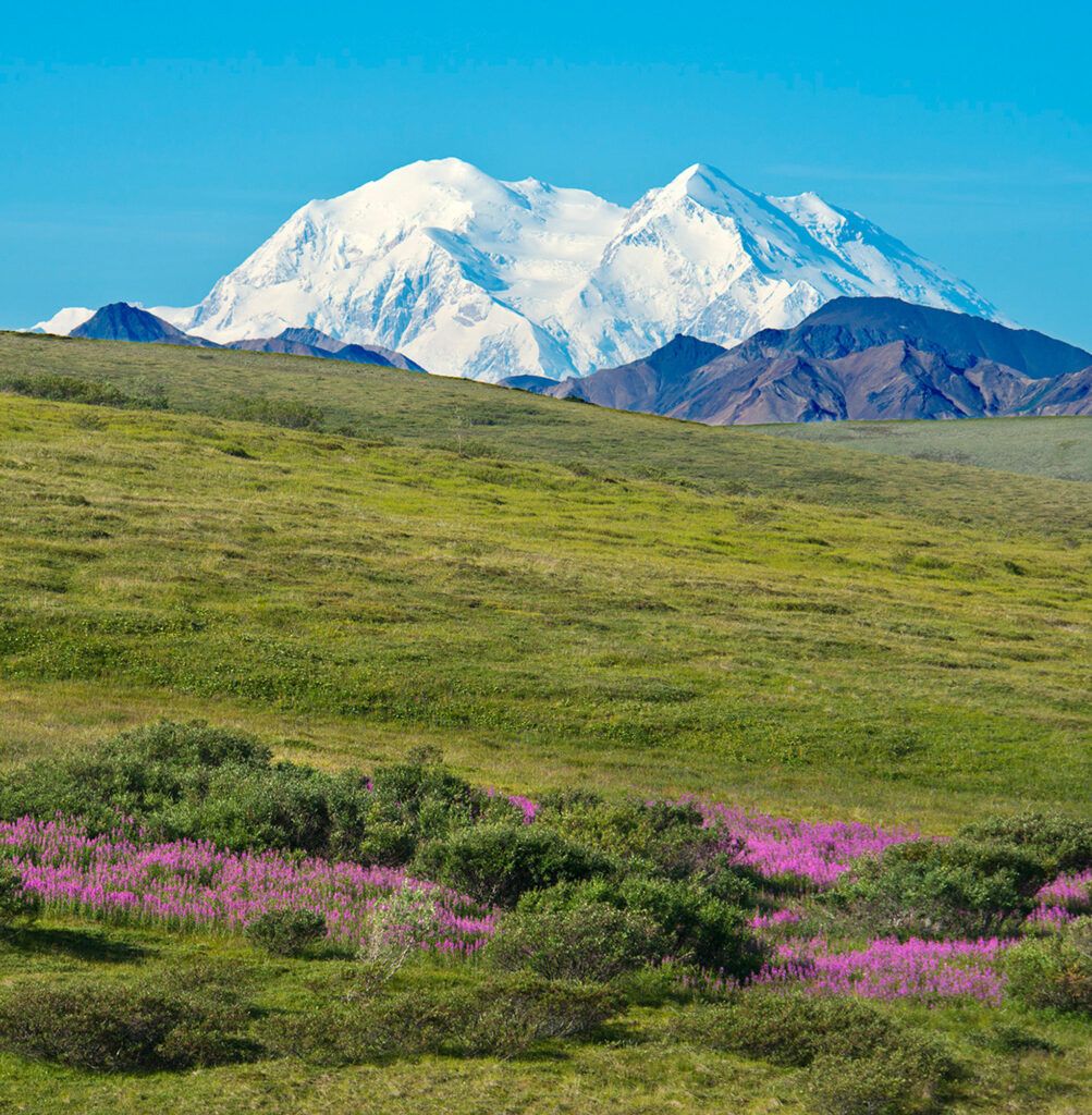 Holland America 2024 Alaska Cruisetours Open for Booking