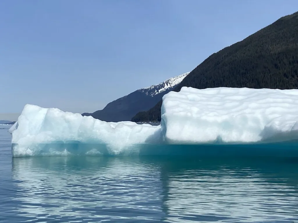 Experiencing the Last Frontier on an Alaska Expedition Cruise