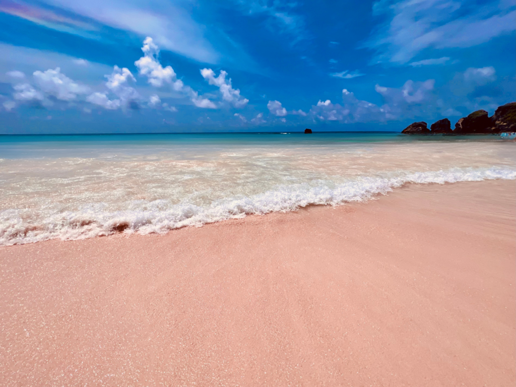 Norwegian Cruise Line - Pink like cotton candy & just as sweet! Check out Bermuda's  Pink Sand Beaches