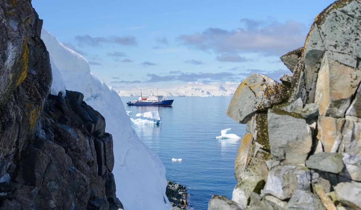 Complete Guide to Expedition Cruising