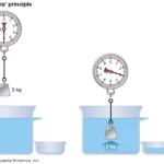 Illustration-principle-buoyancy-Archimedes-force-object-water ...