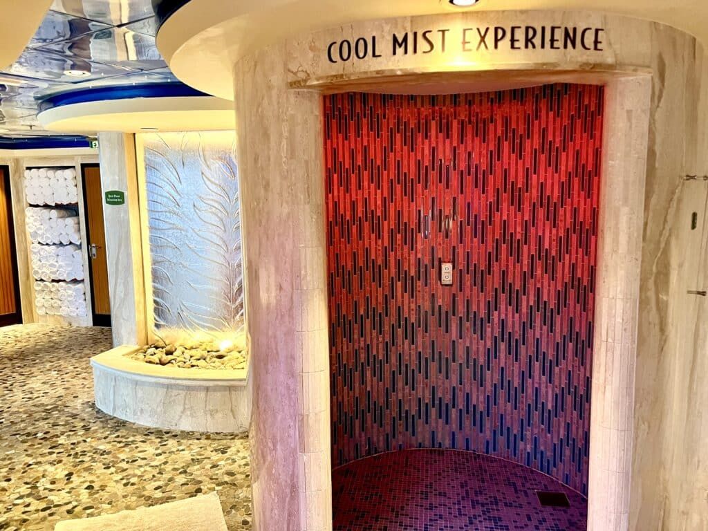 We Tested Out the Disney Dream Rainforest Room - Was It Worth It?