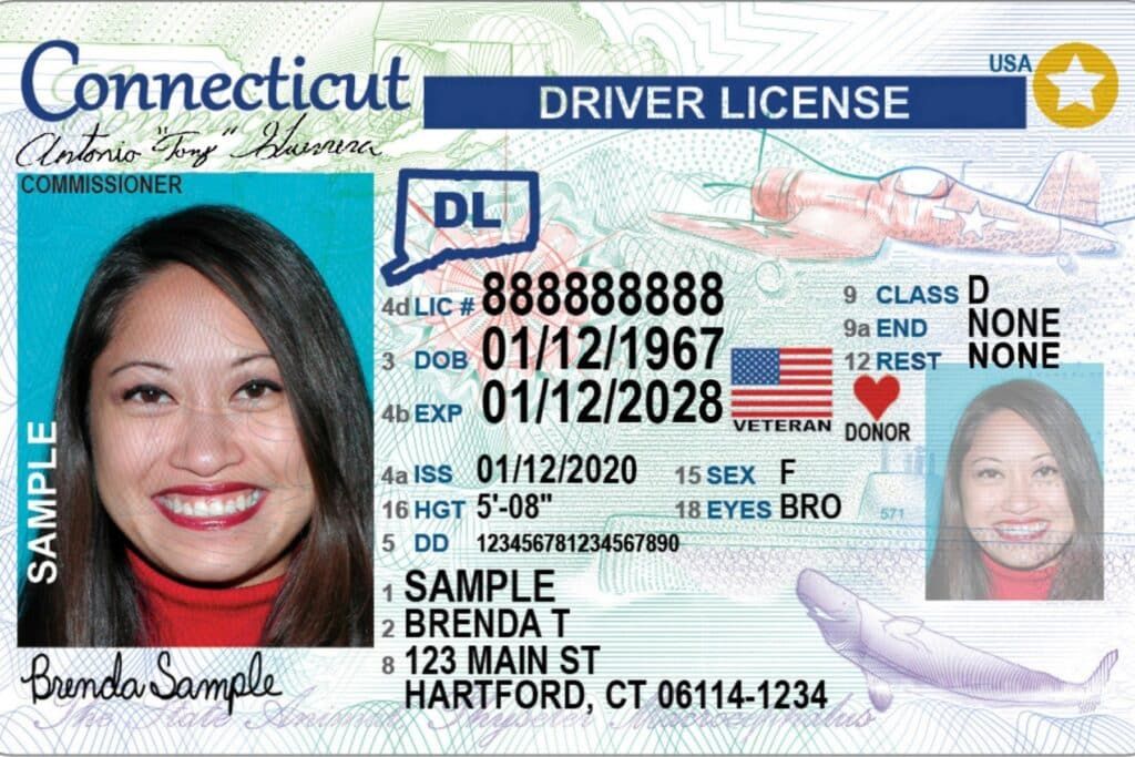 Can I use a REAL ID for a Cruise? What you Need to Know Before Setting Sail