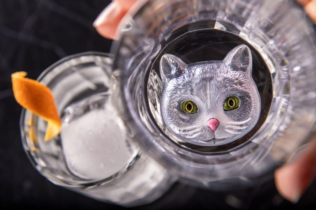disney treasure scat cat lounge cat drink