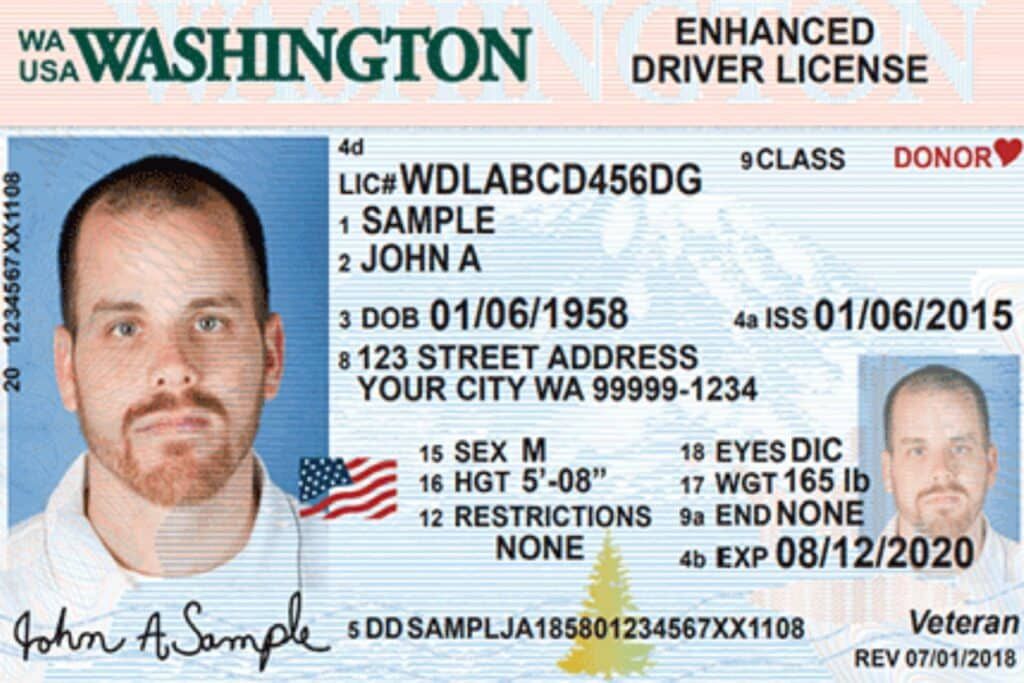 Can I use a REAL ID for a Cruise? What you Need to Know Before Setting Sail