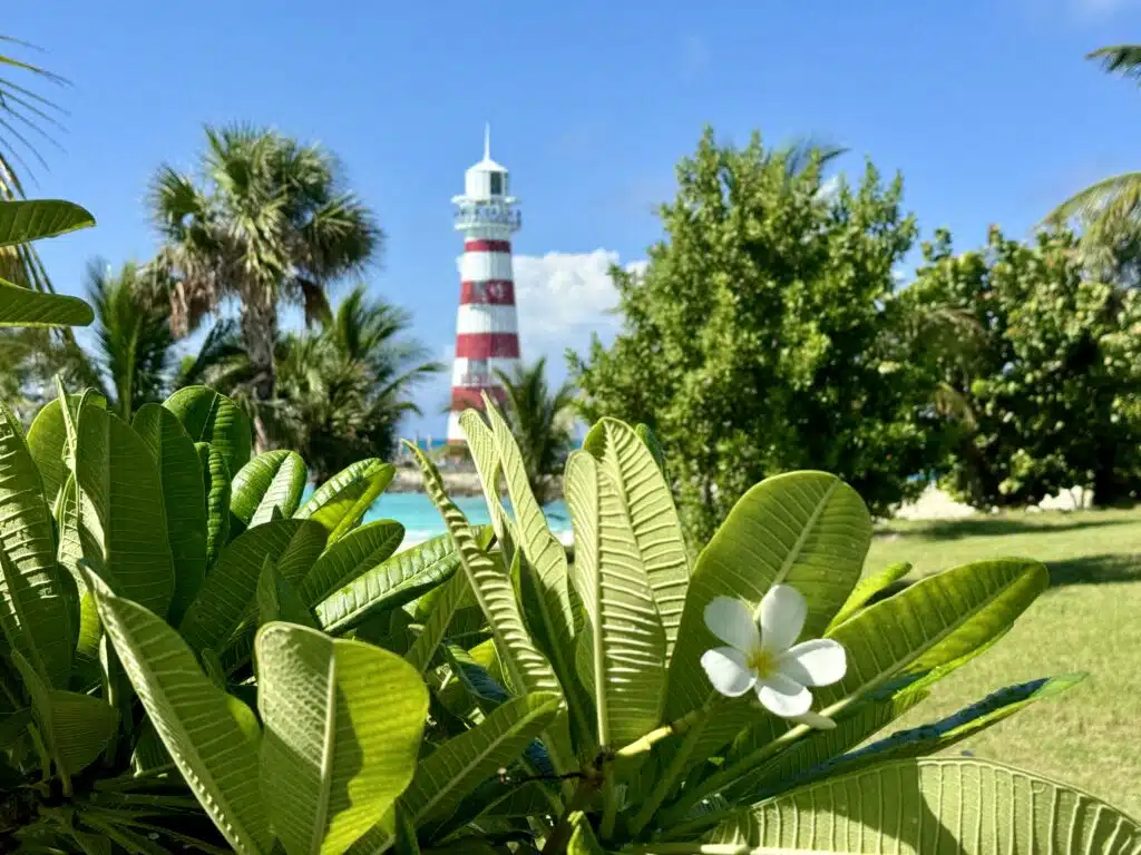 Ocean Cay MSC Marine Reserve