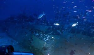 chile selkrik island titania shipwreck