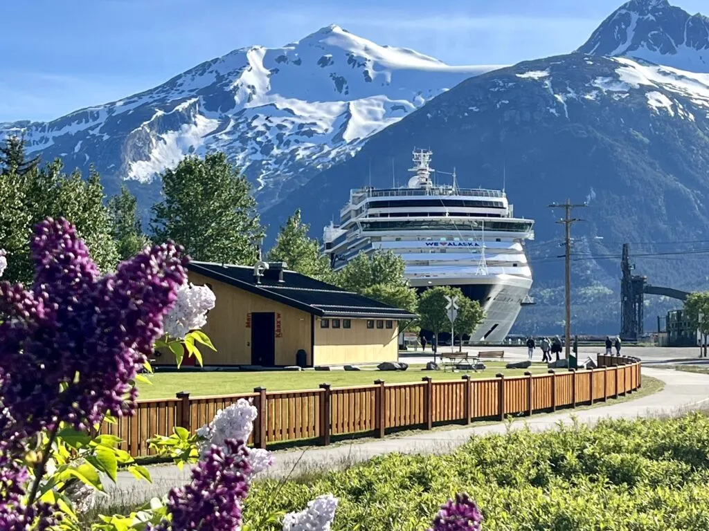 Top Alaska Cruise Questions Answered