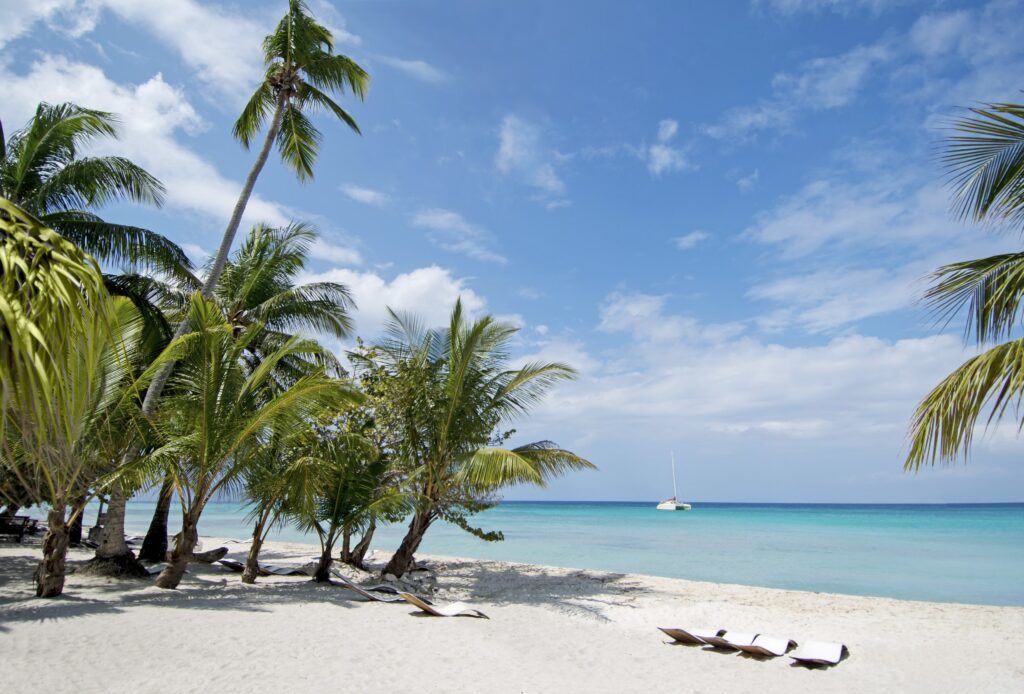 msc cruises dominican republic caribbean beach