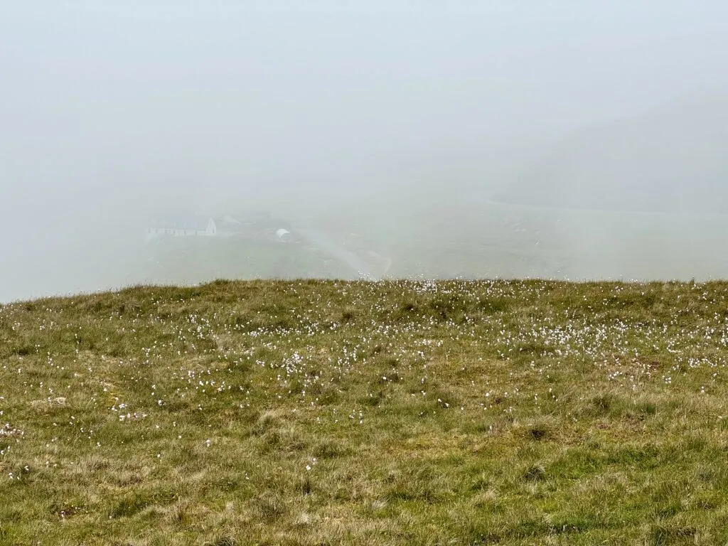 Our Honest Viking Ocean Cruise Review - Into the Midnight Sun