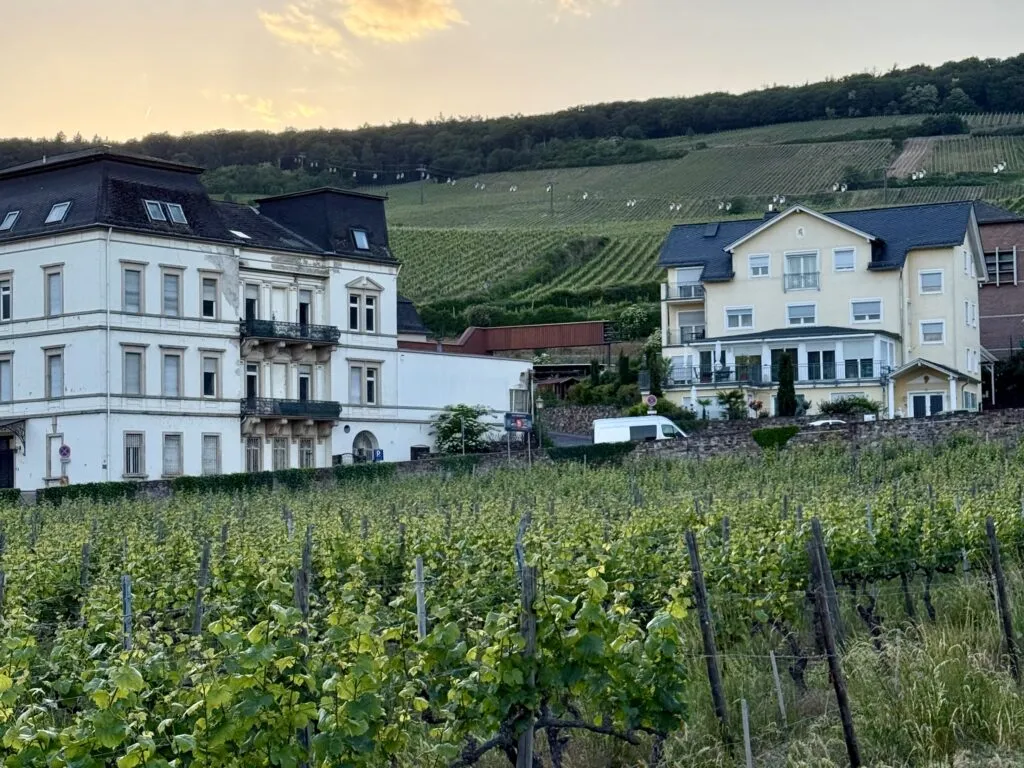 Viking Rhine River Cruise Review