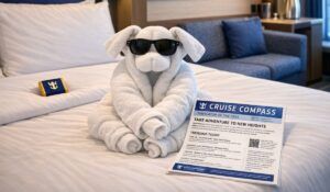 Things Disappearing from Cruising in 2026