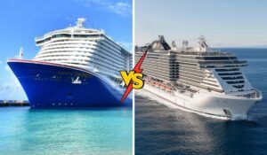 carnival vs. msc cruises featured